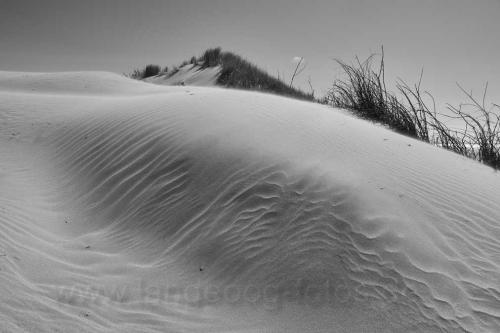 langeoog-duenensand-EN6099