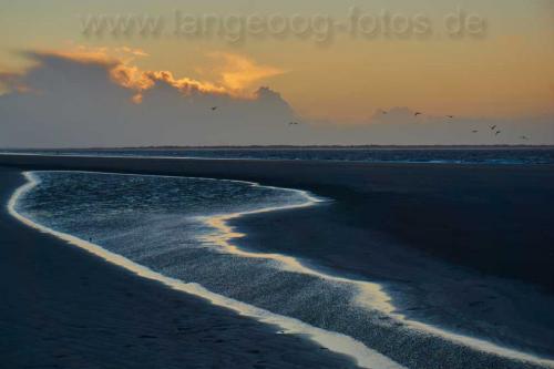 langeoog-priel-EN3330