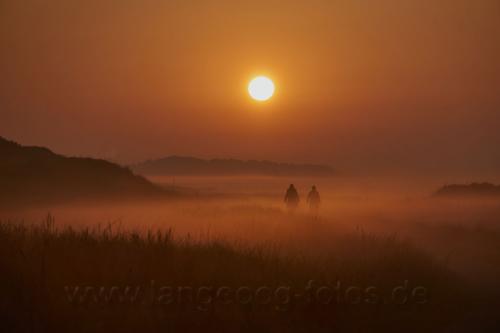 langeoog-sonnenaufgang-nebel-EN4458