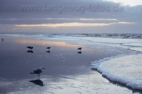 langeoog-strand-EN4582