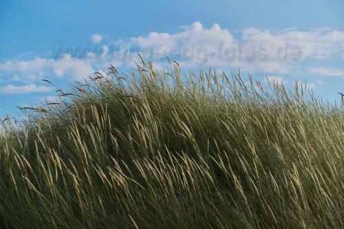 strandhafer-wolken-EN1782